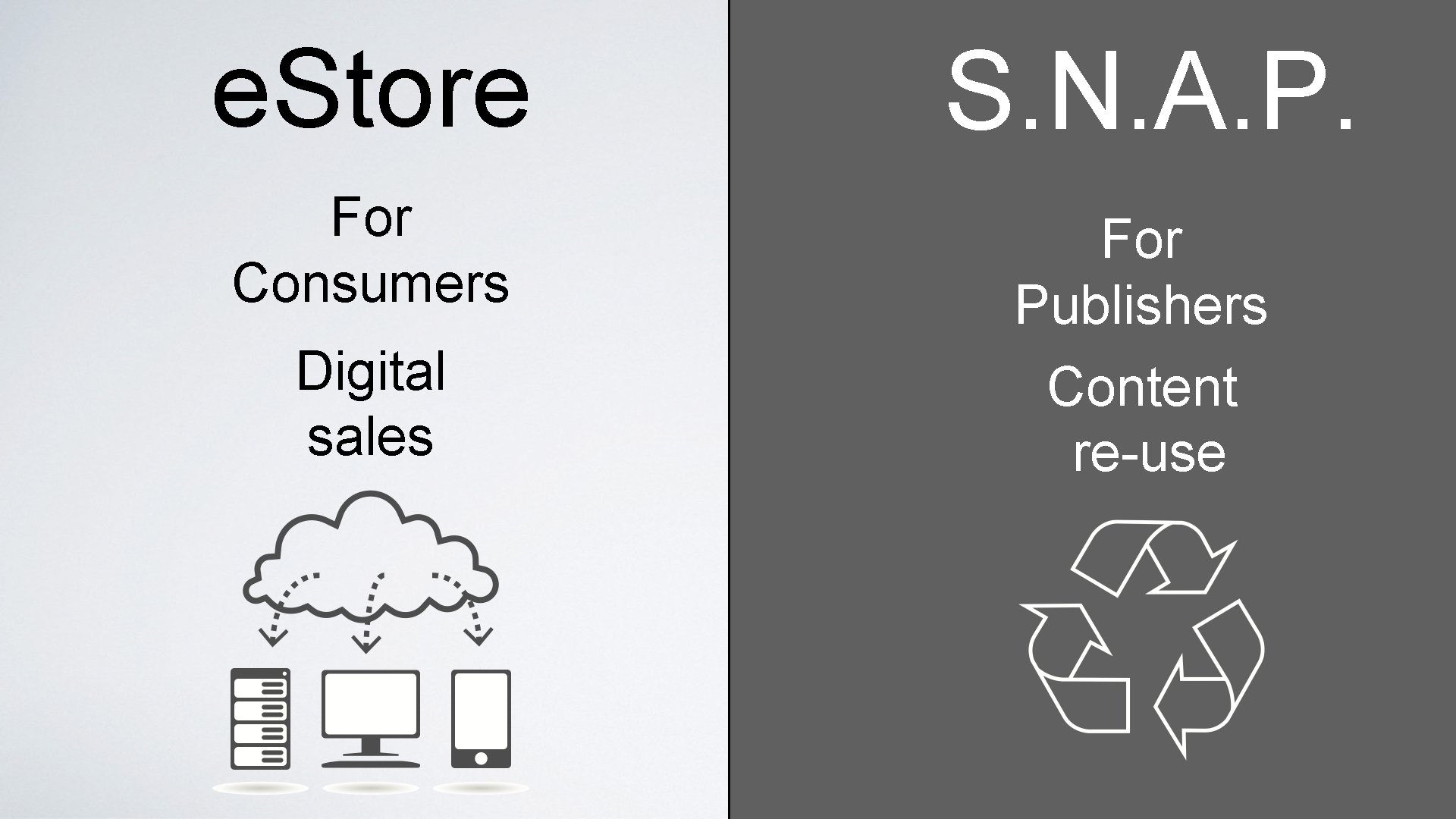 e. Store S. N. A. P. For Consumers For Publishers Digital sales Content re-use