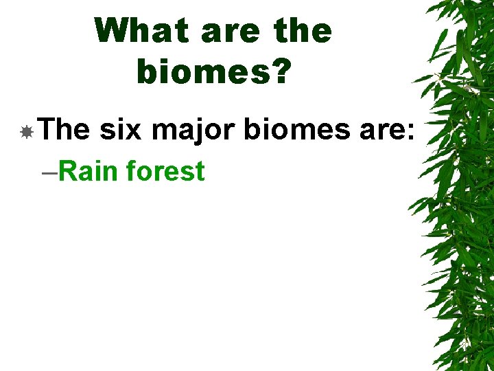 What are the biomes? The six major biomes are: –Rain forest 