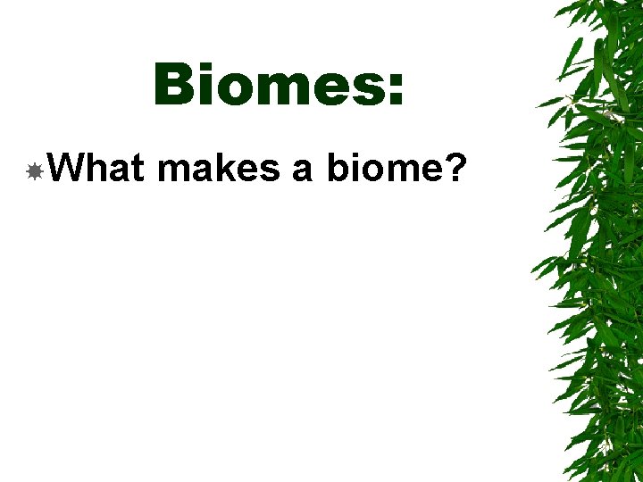 Biomes: What makes a biome? 