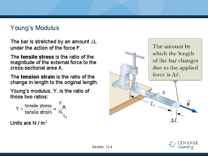 Young’s Modulus The bar is stretched by an amount DL under the action of Young’s Modulus The bar is stretched by an amount DL under the action of