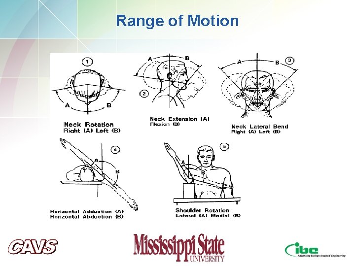 Range of Motion Range of Motion