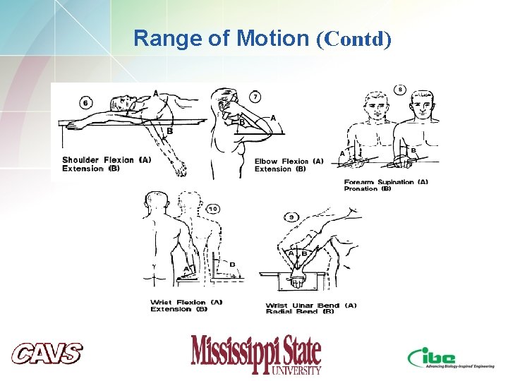 Range of Motion (Contd) Range of Motion (Contd)
