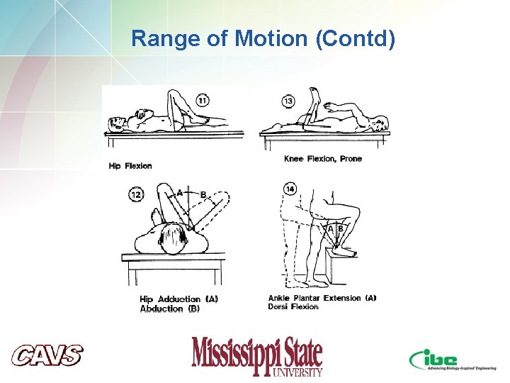 Range of Motion (Contd) Range of Motion (Contd)