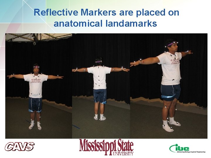 Reflective Markers are placed on anatomical landamarks Reflective Markers are placed on anatomical landamarks