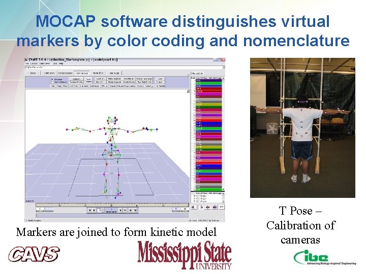 MOCAP software distinguishes virtual markers by color coding and nomenclature Markers are joined to MOCAP software distinguishes virtual markers by color coding and nomenclature Markers are joined to