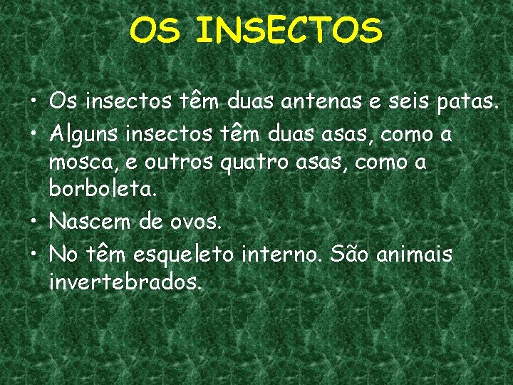 OS INSECTOS • Os insectos têm duas antenas e seis patas. • Alguns insectos