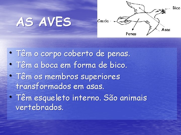 AS AVES • Têm o corpo coberto de penas. • Têm a boca em