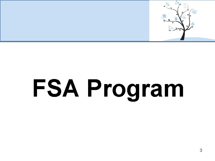 FSA Program 3 