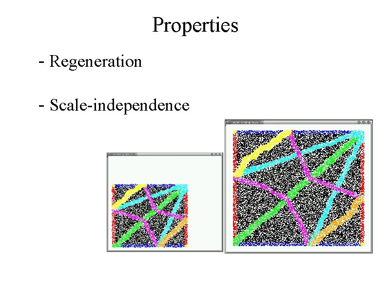 Properties - Regeneration - Scale-independence 