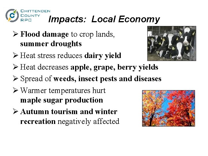 Impacts: Local Economy Ø Flood damage to crop lands, summer droughts Ø Heat stress