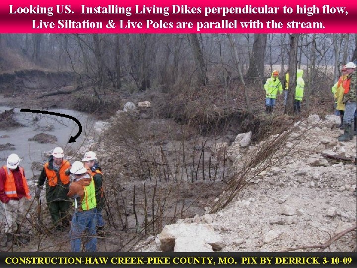 Looking US. Installing Living Dikes perpendicular to high flow, Live Siltation & Live Poles