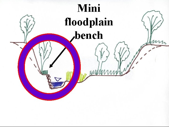 Mini floodplain bench 