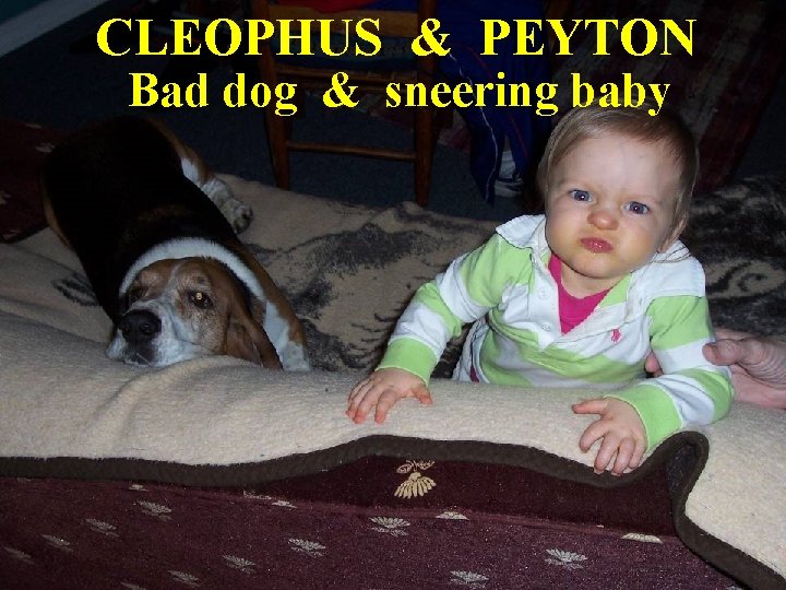 CLEOPHUS & PEYTON Bad dog & sneering baby 