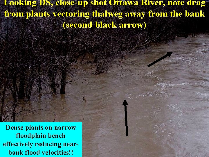 Looking DS, close-up shot Ottawa River, note drag from plants vectoring thalweg away from