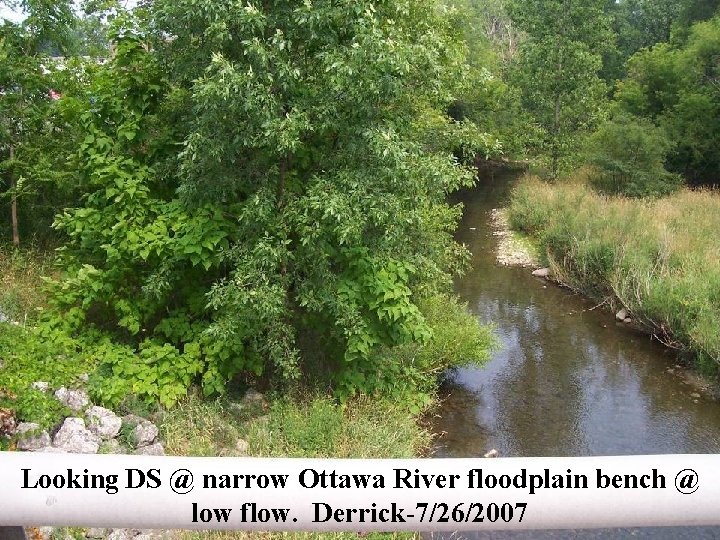 Looking DS @ narrow Ottawa River floodplain bench @ low flow. Derrick-7/26/2007 