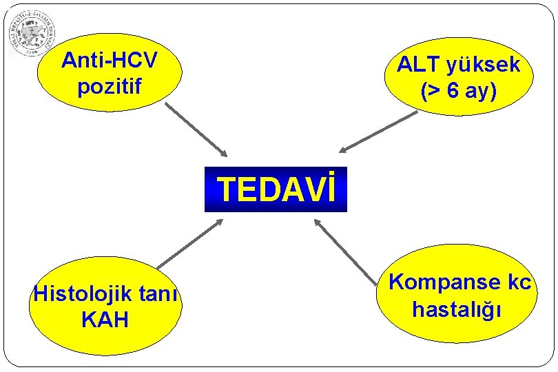 Anti-HCV pozitif ALT yüksek (> 6 ay) TEDAVİ Histolojik tanı KAH Kompanse kc hastalığı