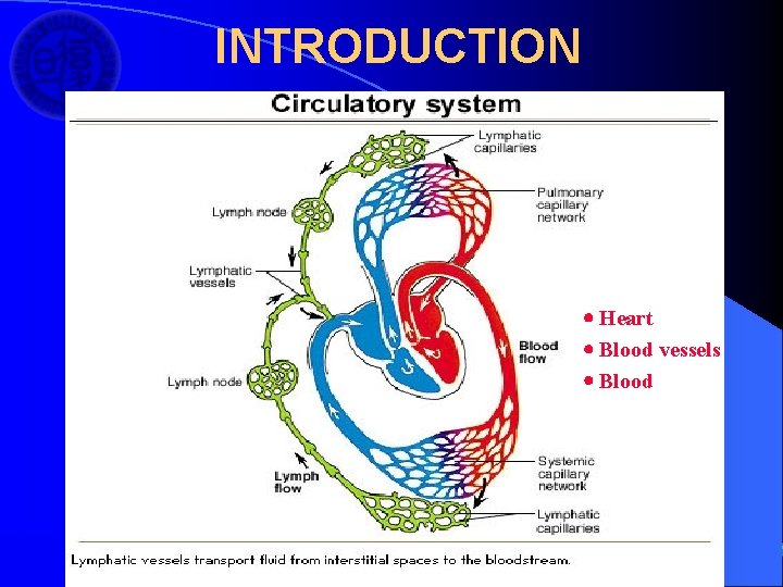 INTRODUCTION Heart Blood vessels Blood 