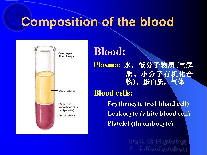 Composition of the blood Blood: Plasma: 水，低分子物质(电解 质、小分子有机化合 物)，蛋白质，气体 Blood cells: Erythrocyte (red blood