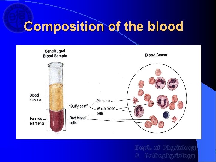 Composition of the blood 
