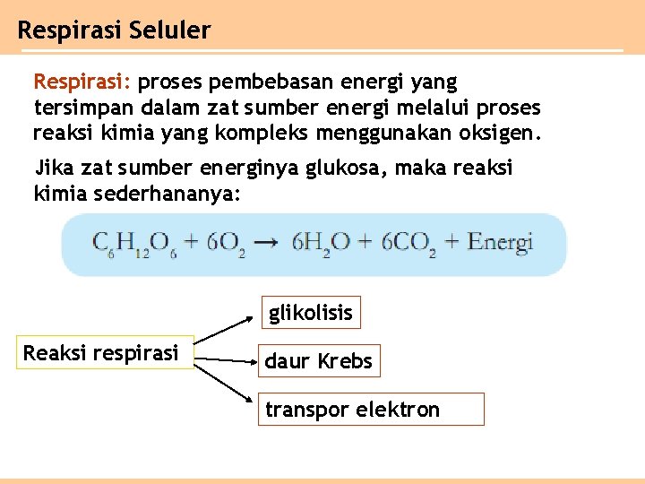Respirasi Seluler Respirasi: proses pembebasan energi yang tersimpan dalam zat sumber energi melalui proses