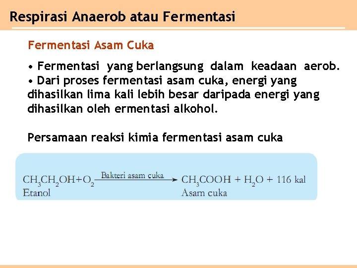 Respirasi Anaerob atau Fermentasi Asam Cuka • Fermentasi yang berlangsung dalam keadaan aerob. •