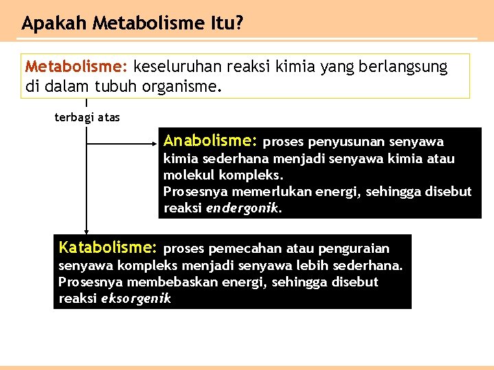 Apakah Metabolisme Itu? Metabolisme: keseluruhan reaksi kimia yang berlangsung di dalam tubuh organisme. terbagi