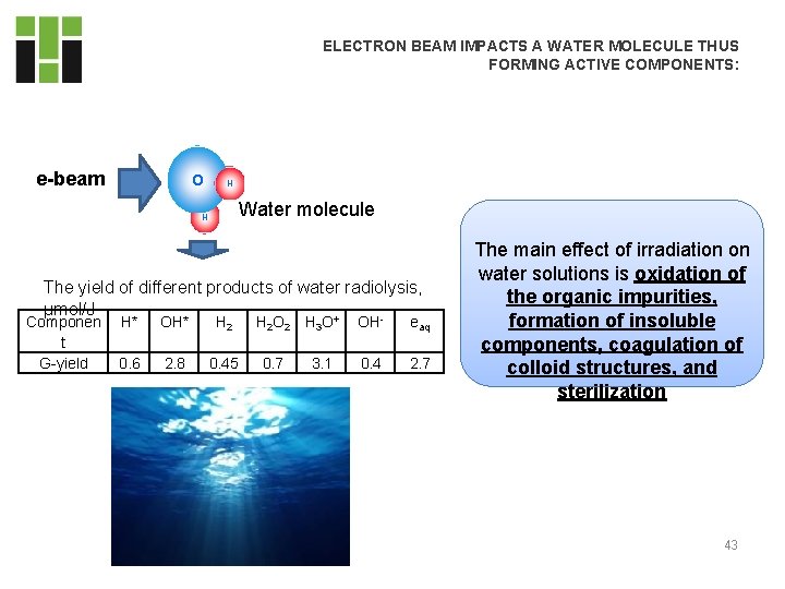 Water radiolysis e-beam O ELECTRON BEAM IMPACTS A WATER MOLECULE THUS FORMING ACTIVE COMPONENTS: Water radiolysis e-beam O ELECTRON BEAM IMPACTS A WATER MOLECULE THUS FORMING ACTIVE COMPONENTS: