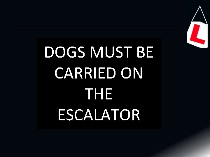 DOGS MUST BE CARRIED ON THE ESCALATOR 