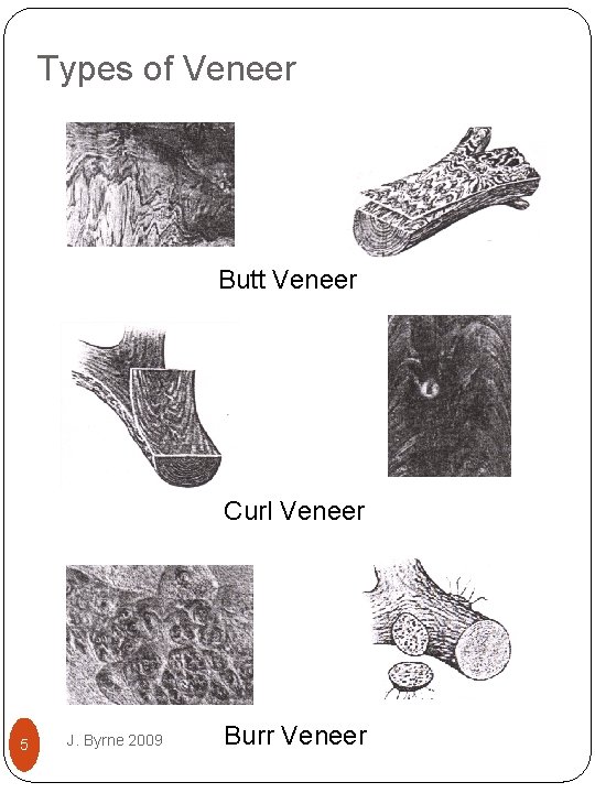 Types of Veneer Butt Veneer Curl Veneer 5 J. Byrne 2009 Burr Veneer 