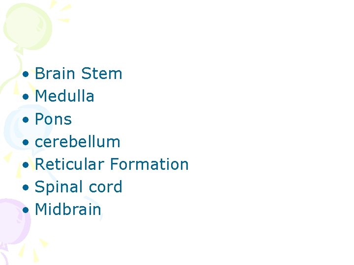  • Brain Stem • Medulla • Pons • cerebellum • Reticular Formation •