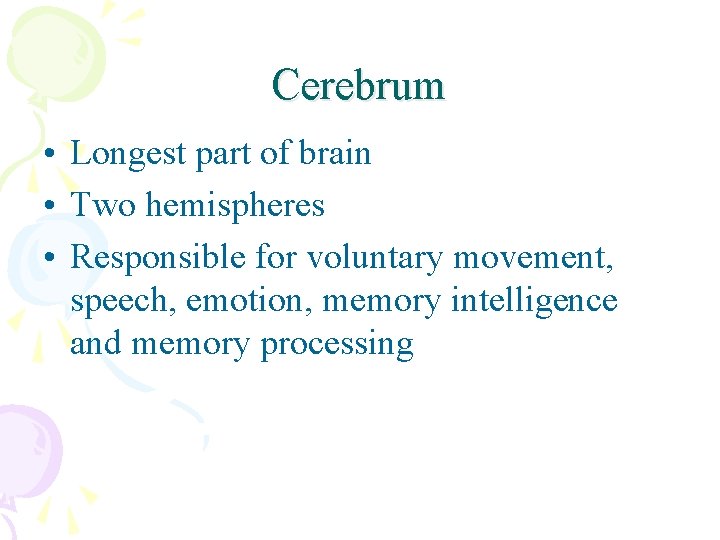 Cerebrum • Longest part of brain • Two hemispheres • Responsible for voluntary movement,