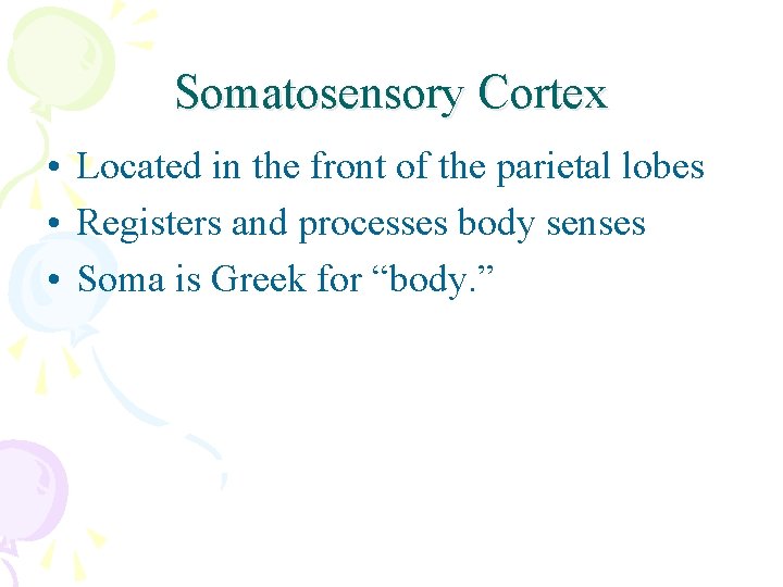 Somatosensory Cortex • Located in the front of the parietal lobes • Registers and