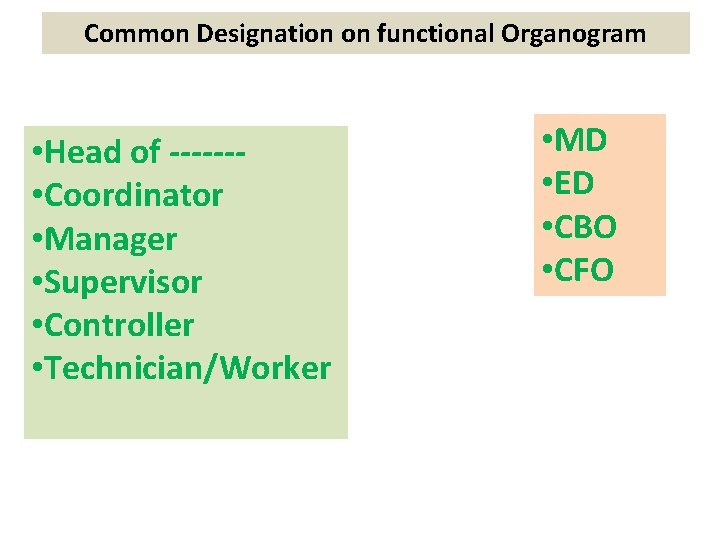 Common Designation on functional Organogram • Head of ------ • Coordinator • Manager •