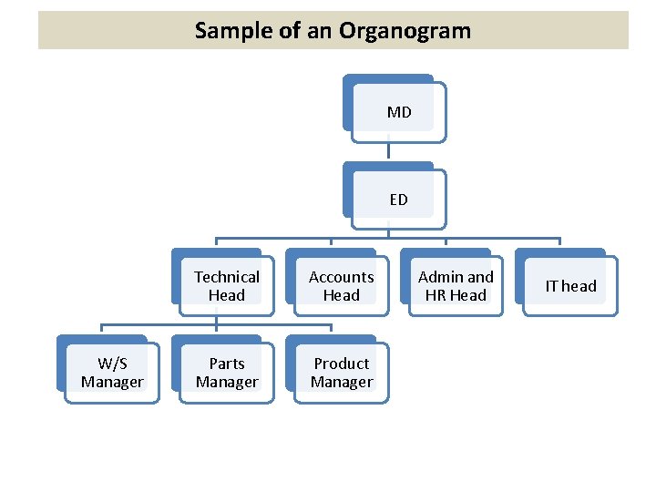 Sample of an Organogram MD ED W/S Manager Technical Head Accounts Head Parts Manager