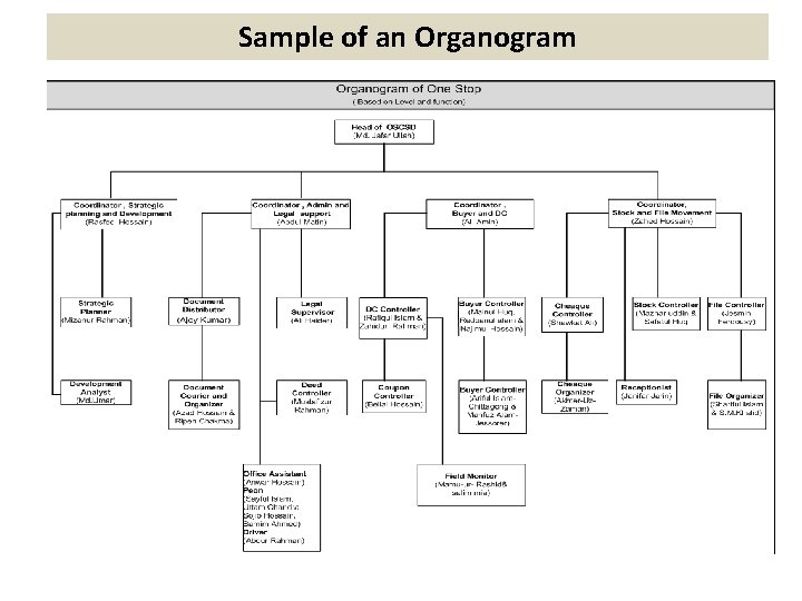 Sample of an Organogram 
