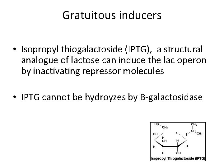 Gratuitous inducers • Isopropyl thiogalactoside (IPTG), a structural analogue of lactose can induce the