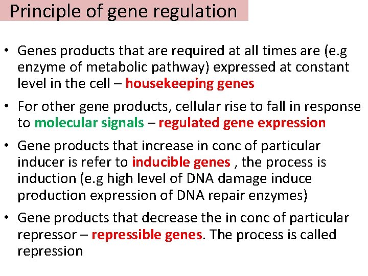 Principle of gene regulation • Genes products that are required at all times are