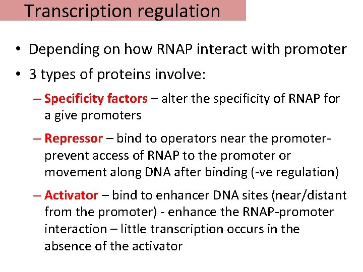 Transcription regulation • Depending on how RNAP interact with promoter • 3 types of
