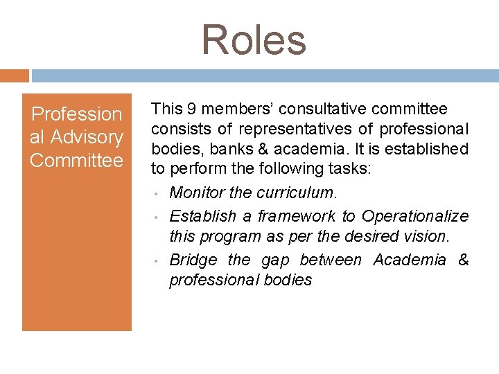 Roles Profession al Advisory Committee This 9 members’ consultative committee consists of representatives of