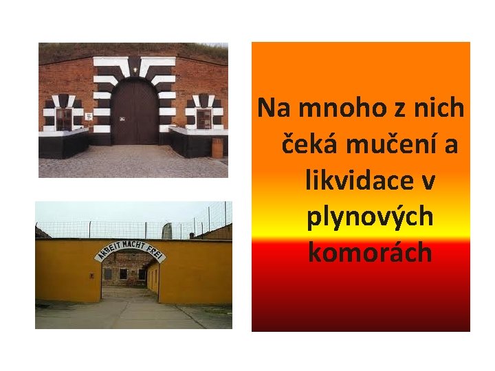 Na mnoho z nich čeká mučení a likvidace v plynových komorách 