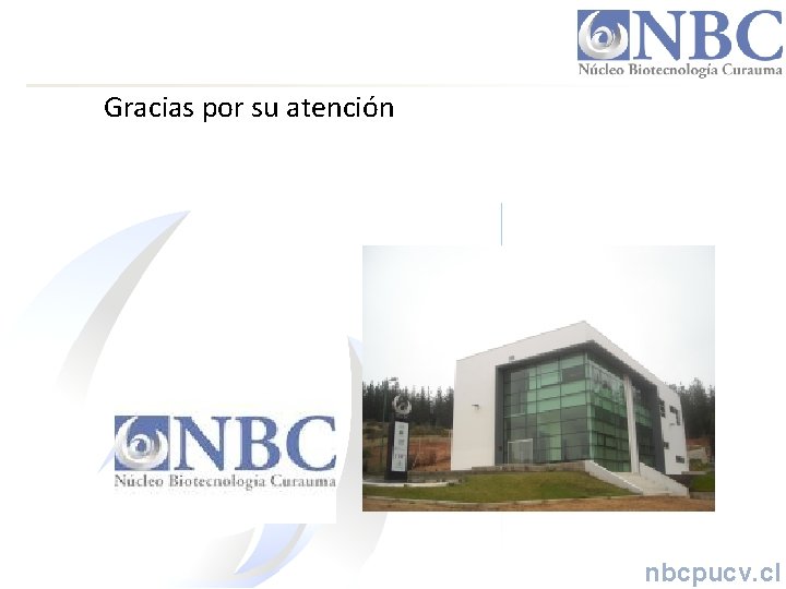 Gracias por su atención nbcpucv. cl 