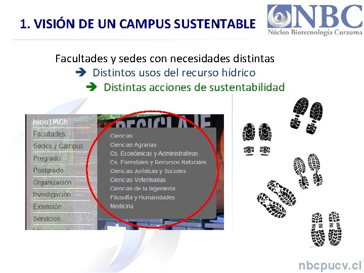 1. VISIÓN DE UN CAMPUS SUSTENTABLE Facultades y sedes con necesidades distintas Distintos usos