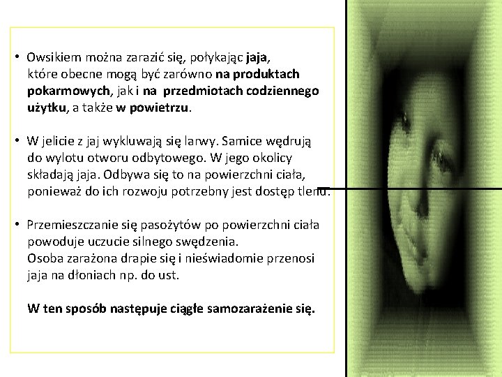  • Owsikiem można zarazić się, połykając jaja, które obecne mogą być zarówno na