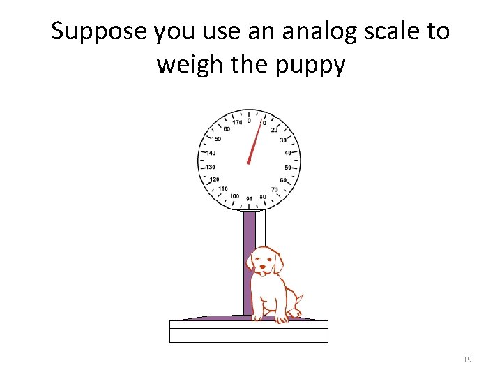 Suppose you use an analog scale to weigh the puppy 19 