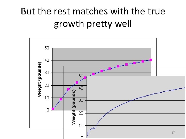 But the rest matches with the true growth pretty well 37 