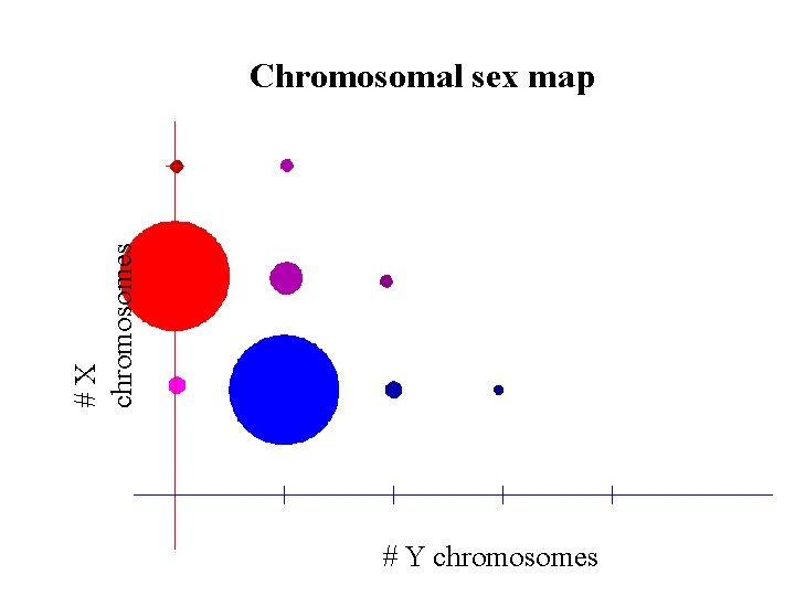 #X chromosomes Chromosomal sex map # Y chromosomes 