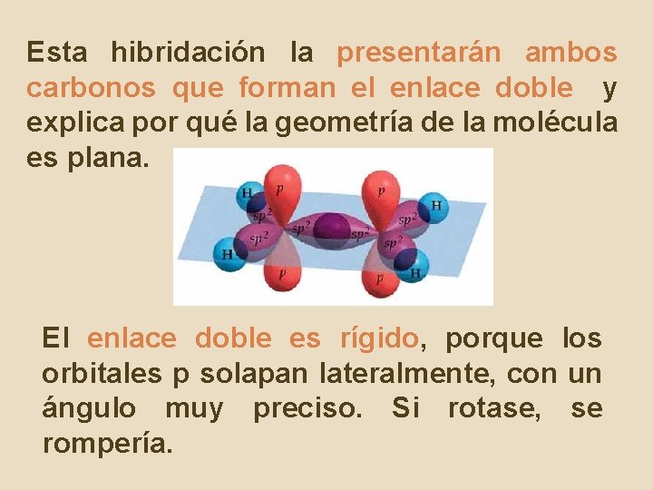 Esta hibridación la presentarán ambos carbonos que forman el enlace doble y explica por