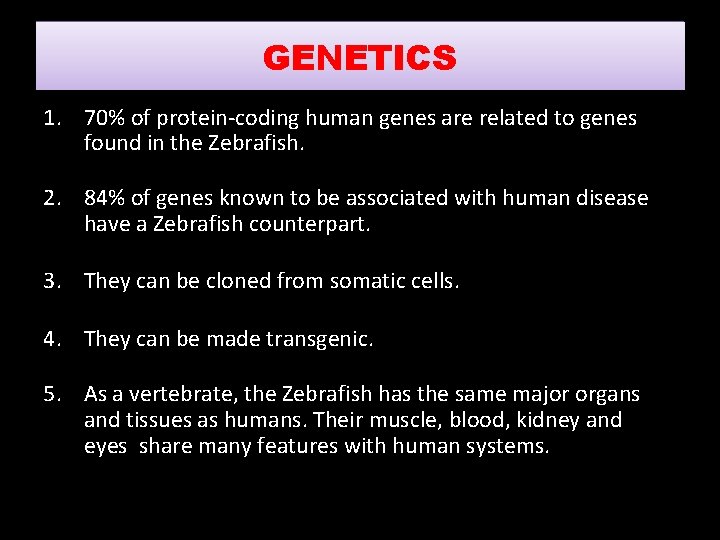 GENETICS 1. 70% of protein-coding human genes are related to genes found in the