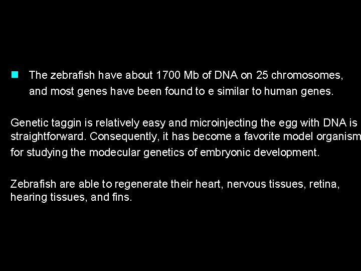 n The zebrafish have about 1700 Mb of DNA on 25 chromosomes, and most