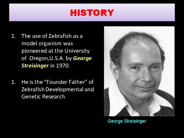 HISTORY 1. The use of Zebrafish as a model organism was pioneered at the
